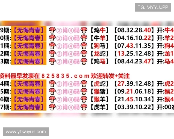 探索澳门官方彩票网安卓版香的独特魅力与玩法