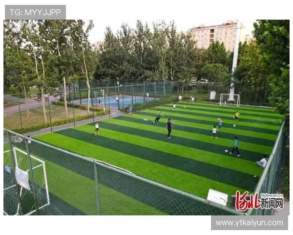 南宫体育场馆建设的现状与未来发展趋势